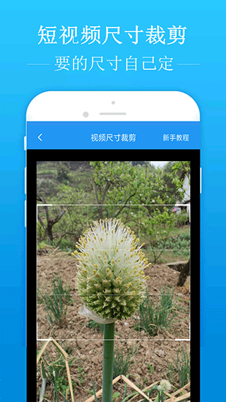 COMEX 黄金续刷历史新高，最高触及 2810.3 美元 / 盎司，未来走势如何？